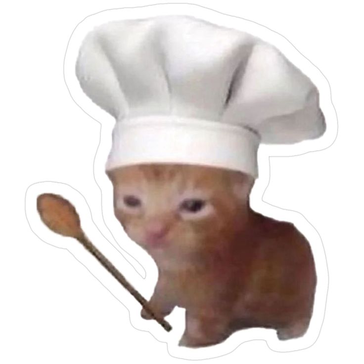 厨师猫